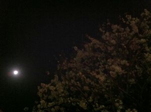 120404-2